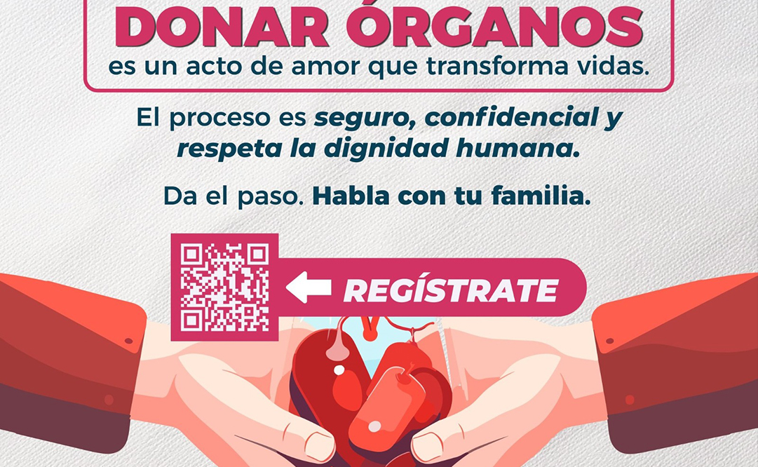 Oaxaca dice si a la donación de órganos Central Q Noticias