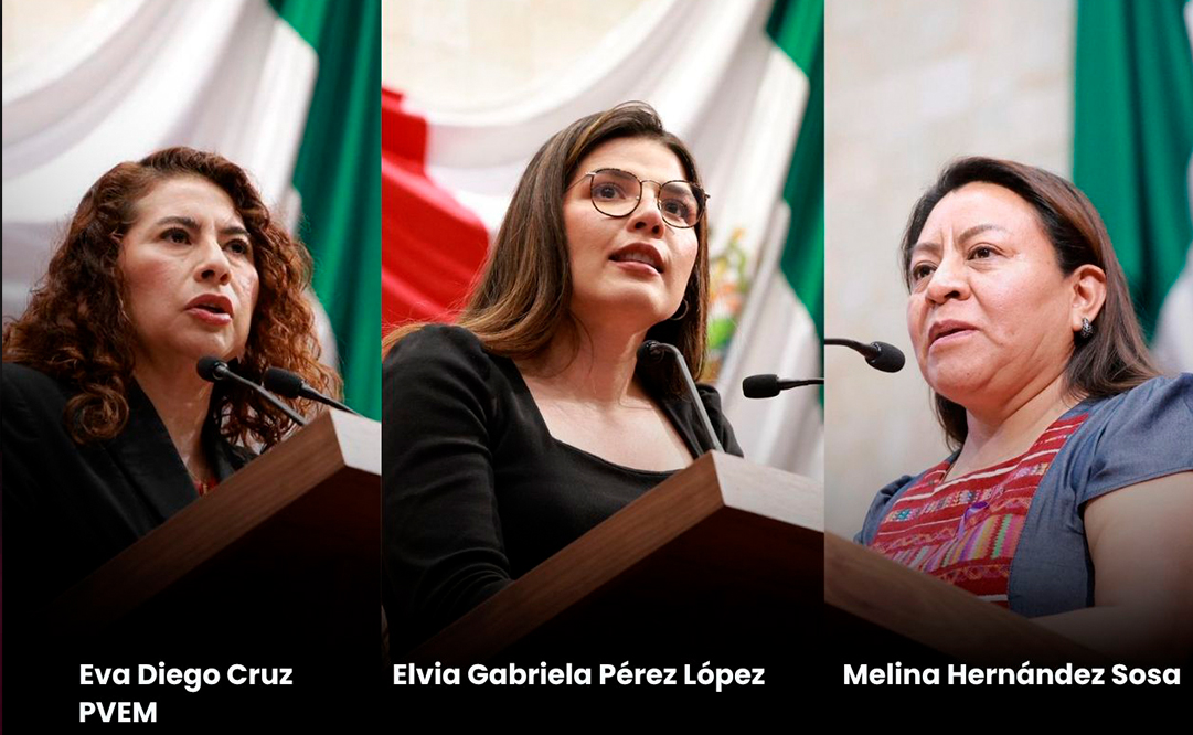 Congreso propone restringir licencia para deudores alimentarios Central Q Noticias