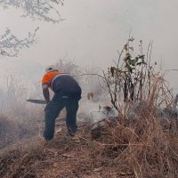 Controlan incendio mientras rescatan animales en Oaxaca Central Q Noticias Oaxaca