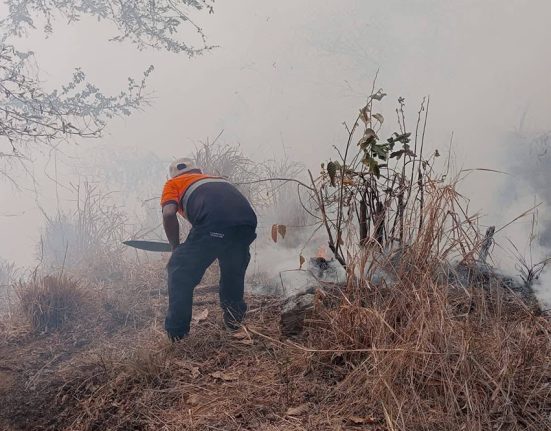 Controlan incendio mientras rescatan animales en Oaxaca Central Q Noticias Oaxaca
