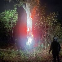 Rayo impacta sobre árbol en Zaachila Central Q Noticias Oaxaca